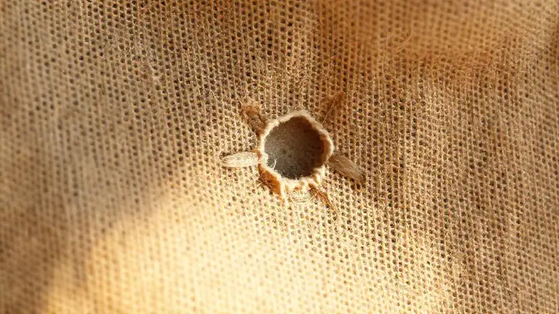 Lino antiguo, reparado, evocando esperanza suave